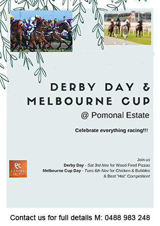 Derby Day and Melbourne Cup 2018 flyer