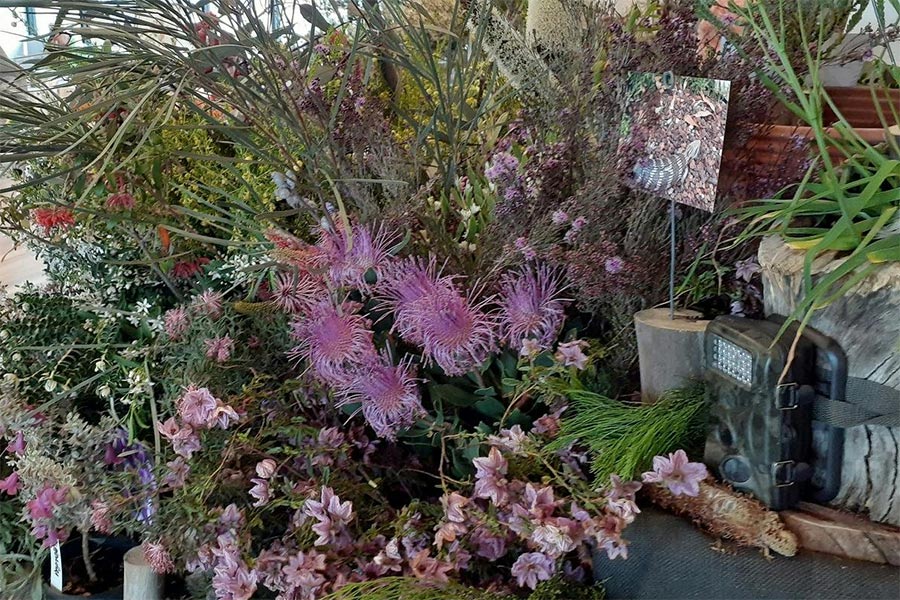 Pomonal Native Flower Show