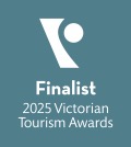 VTIC FInalist Badge